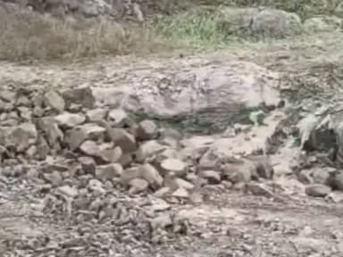 सारंगपुर: कालीसिंध नदी में अवैध रेत खनन जारी, प्रशासन बेखबर