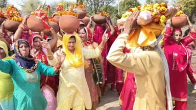 बाढ़डा:- कान्हड़ा गांव स्थित बाबा मंगलदास मंदिर परिसर में चल रही सात दिवसीय श्रीमद्भागवत पुराण कथा