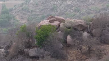 ઇડર: ડુંગર પર આરામ ફરમાવતા દીપડાના અદભુત દ્રશ્યો ડ્રોન કેમેરામાં કેદ થયા.