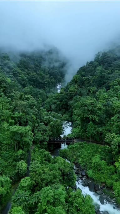 Lost in the embrace of a dense forest 🌿🌲, where ancient trees stand guard in misty silence. Ahead, the mountain rises majestic and timeless 🏔️✨, its peaks kissing the clouds. From its heart, a waterfall roars to life—cascading silver rib