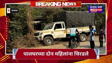 पालघर पिकअपची भीषण धडक; आठवडी बाजारावरून परतणाऱ्या दोन महिलांचा जागीच मृत्यू
