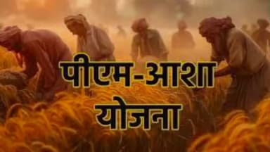 बालोद: PM आशा योजना के तहत खरीफ-रबी फसलों की खरीदी के लिए पंजीकरण 28 फरवरी तक, न्यूनतम समर्थन मूल्य पर होगी उपार्जन