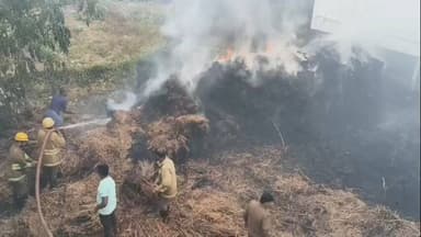 கோவில்பட்டி: அத்தை கொண்டான் பகுதியில் சோள நாற்று தீ விபத்து