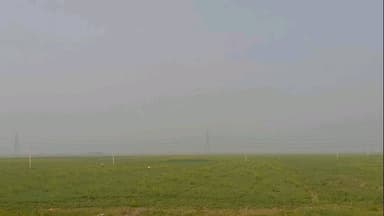 घाट कुसुंभा: घाटकुसुम्भा प्रखंड क्षेत्र में रबी फसल पर कीट प्रकोप बढ़ने से किसान चिंतित