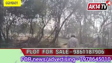 ୩୦ ବସ୍ତା ଧାନ ଓ ଦୁଇଟି ପାଳ ଗଦା ଜଳି ପାଉଁଶ