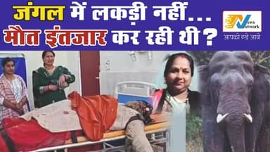 चूल्हे के लिए निकली थी… लेकिन मौत से सामना हो गया
.
.
.
.
#MadhuriDevi
#champawat
#tanakpur
#uttarakhand
#ElephantAttack...