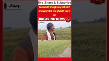 ललितपुर ब्रेकिंग.बेतावा नदी से निकली जाखलौन पंप कैनाल की छियोला माइनर में पानी की अधिकता से