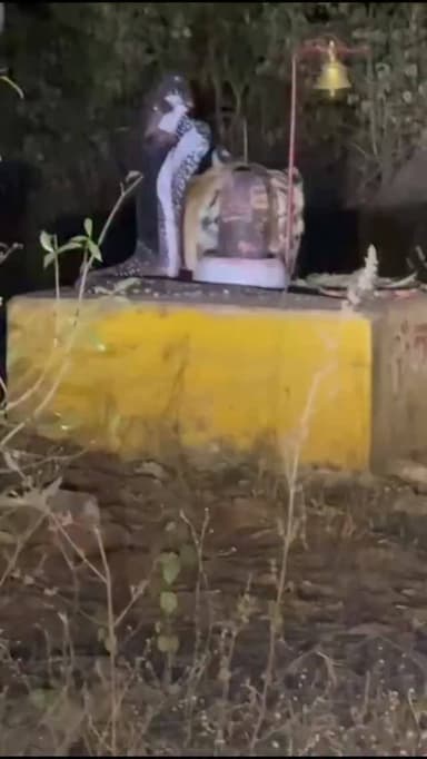 सडार के जंगल में शिवलिंग पर सिर रगड़ता नजर आया बाघ, वीडियो वायरल
कटनी। कटनी जिले के ढीमरखेड़ा तहसील अंतर्गत सडार के जं...