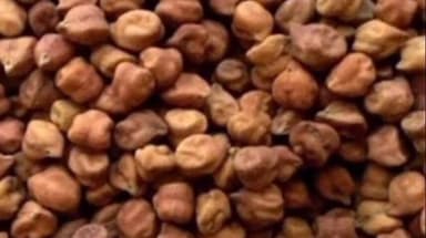 पिपरई: पिपरई तहसील में चना एवं मसूर के कृषक पंजीयन हेतु चार केंद्र निर्धारित