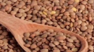 मुंगावली: मुंगावली तहसील में चना एवं मसूर के कृषक पंजीयन के लिए आठ केंद्र निर्धारित