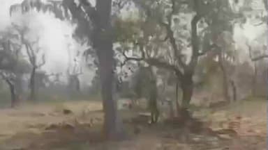 रावतभाटा: रावतभाटा में तीन दिन के भीतर दो शव मिलने से सनसनी, तालाब में बच्ची और जंगल में युवक का शव बरामद