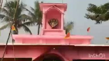 मधेपुर: प्रसाद विषहारा गहबर स्थान में माता विषहारा की पुरानी मूर्ति की विधिपूर्वक अंतिम पूजा हुई