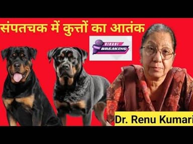 संपतचक अंचल क्षेत्र में कुत्तों का आतंक 4 दिन में 150 लोगों को काटकर किया घायल