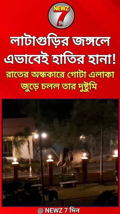 লাটাগুড়ির জঙ্গলে হাতি যা করল, রাতের অন্ধকারে এভাবেই দুষ্টুমি গজরাজের