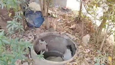 ଧର୍ମଗଡ: ବେଲପଡ଼ା ପରିତ୍ୟକ୍ତ କୁଆଁ ରେ ପଡ଼ିଥିବା ଗାଈକୁ ସୁରକ୍ଷିତ ଭାବେ ଉଦ୍ଧାର କଲେ ଅଗ୍ନିଶମ ବିଭାଗ କର୍ମଚାରୀ