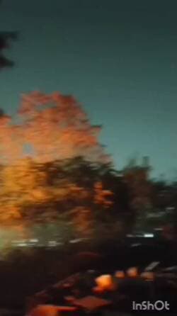 तिजारा: भिवाड़ी में कबाड़ के गोदाम में लगी भीषण आग, दमकल की गाड़ियों ने आग पर पाया काबू