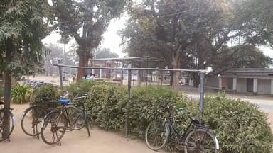 आम की बोर( मउर )को धोने की फिराक में शानदार ) कुदरती नजारा!🦚🦚🦚🦚🦚🦚🦚🦚🦚🦚