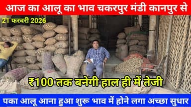 आज का आलू का भाव चकरपुर मंडी कानपुर से पका आलू आना हुआ शुरू भाव में होने लगा अच्छा सुधारAalu Ka Bhav