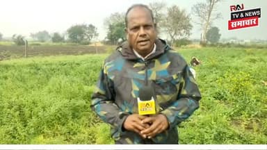 फूल को नुकसान पहुंचा रहें है, आसमान और बादल