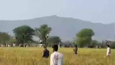 नसीराबाद: भीमपुरा गांव में लेपर्ड का आतंक, नसीराबाद रेंज की वन विभाग की टीम मौके पर मौजूद, रेस्क्यू ऑपरेशन जारी