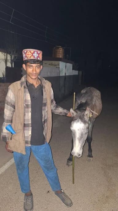 भरमाड के काली मिट्टी मैदान के पास मिला लापता घोड़ा,भेड़पालक ने ली राहत की सांस सोशल मीडिया और लोगों का जताया आभार!
#nam...