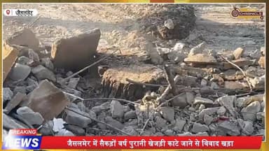 जैसलमेर में सड़क चौड़ीकरण के दौरान सैकड़ों वर्ष पुरानी #खेजड़ी काटे जाने और उसके नीचे स्थापित मंदिर हटाने का मामला गरमाय...