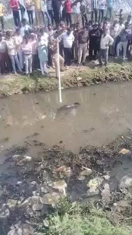 daulatpur Firozabad
#@@@