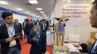 #viralvideo #galgotiyaaidog #reel
गलगोटिया यूनिवर्सिटी वालों की बेइज़्ज़ती के बाद अब उनपर ज़बरदस्त रील बन रही है ,
इ...