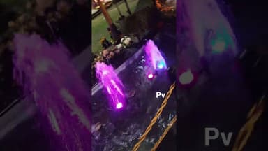 You Can't miss this mesmerising 🥰 #noidaflowershow #fountain #musicalfountain #flowershow2026