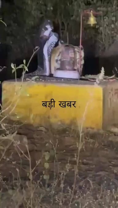 जंगल का राजा भोलेनाथ की शरण में।
मध्य प्रदेश के कटनी जिले की ढीमरखेड़ा तहसील के अंतर्गत सडार (शहडार) के जंगलों से एक हैर...