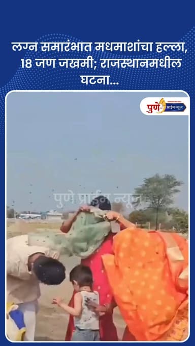 लग्न समारंभात मधमाशांचा चा हल्ला, १८ जण जखमी; राजस्थानमधील घटना...
राजस्थानमधील मालपुरा (अजमेर रोड) परिसरातील एका रिसॉ...