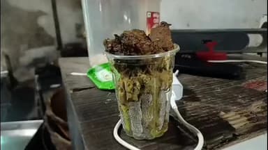 মাটিগাড়া: শিলিগুড়িতে খাদ্য সুরক্ষা দপ্তরের কড়া অভিযান, নামী ক্যাফে থেকে উদ্ধার পচা খাবার