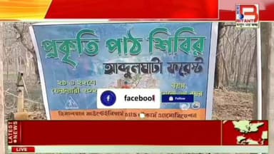 কচিকাঁচাদের কলতানে মুখরিত কুলিকের উপবন