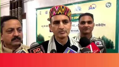 कुल्लू, किन्नौर, चंबा व लाहौल-स्पीति में जड़ी-बूटी कडू की खेती वातावरण के अनुकूल: संदीप शर्मा
कुल्लू, किन्नौर, चंबा तथा...