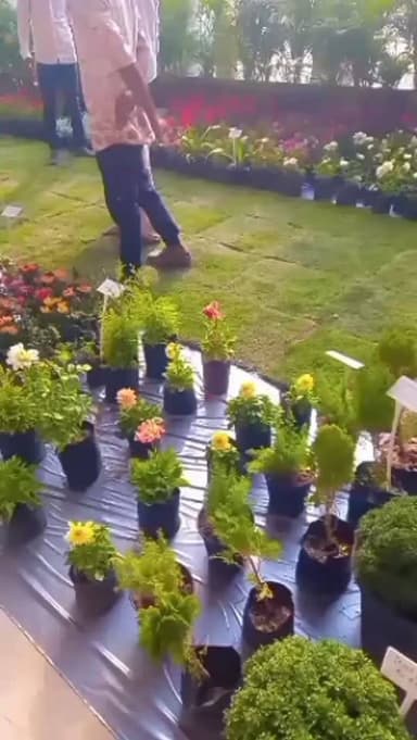 Flower show in magneto mall