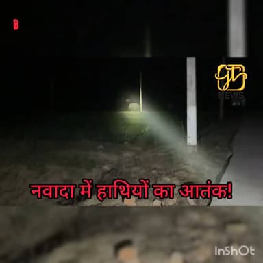 🚨 कौआकोल में हाथियों का आतंक, किसानों की गेहूँ की फसल बर्बाद! 🌾🐘
झारखंड के जंगल से भटककर नावाडीह और सोखोदेवरा पहुंचे 8-1...