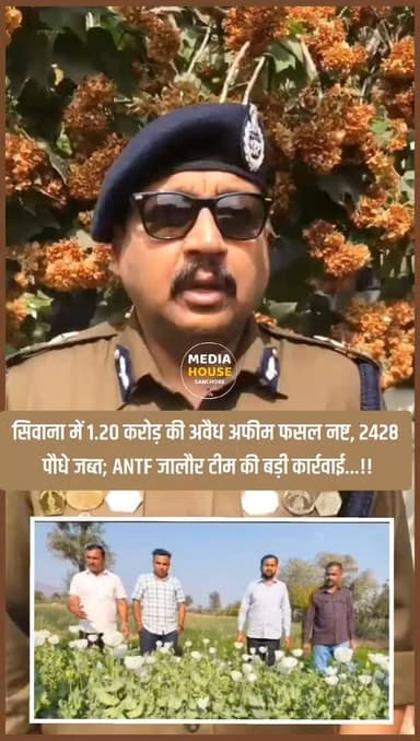 #Jalore: कांखी (सिवाना) में 2428 डोडा पौधों के साथ जालौर जिले के हरजीराम माली गिरफ्तार, ANTF जालौर चौकी की बड़ी कार्रवाई...