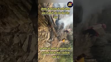 सैलपेडू में गोशाला में लगी भीषण आग दो बकरी और एक भैंस जिंदा जले #DMChampawat #FIre