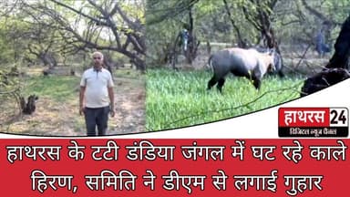 Hathras News :हाथरस के टटी डंडिया जंगल में घट रहे काले हिरण, समिति ने डीएम से लगाई गुहार...