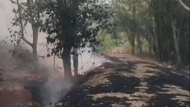 ଖଲ୍ଲିକୋଟ୍: ଭିକାପଡା ନିକଟସ୍ଥ ଜଗଂଲରେ ଅଗ୍ନିକାଣ୍ଡ, ଅଗ୍ନିଶମ ବାହିନୀ ପକ୍ଷରୁ ନିଆଁ ଲିଭାଇବା ପାଇଁ ଉଦ୍ୟମ ଜାରି