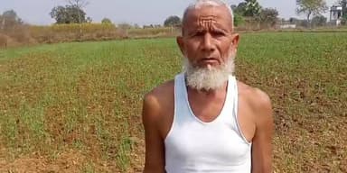 नीलगायों का कहर: डंडई के खेत बने रणभूमि, मुआवजे की आस में किसान ।
#Dandai #NilgaiCrisis #FarmersInTrouble #CropDamage #J...