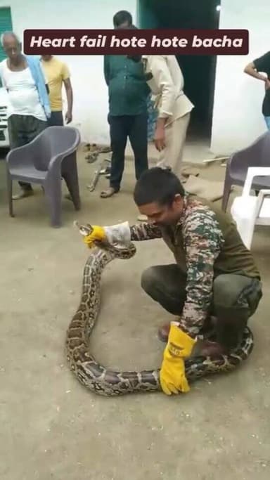 देखिए इस वीडियो में पूरा Live Rescue Operation, गाँव वालों की प्रतिक्रिया और उस घर का सच —
क्या ये महज़ संयोग था या कुछ ...