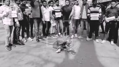 #Bareillyupdate
पुतला दहन और नारेबाजी, कांग्रेस के प्रदर्शन पर भड़का भाजपा युवा मोर्चा, सड़कों पर उतरे कार्यकर्ता...