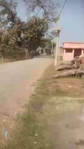 jharha raat ko room me pora rakh kar aag lagaya