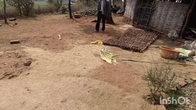 ब्यौहारी: करही गांव में जंगली हाथी का तांडव, घर तोड़ा और गेहूं की फसल बर्बाद