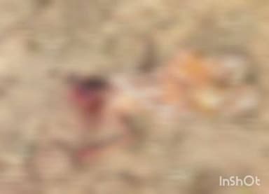 राजनांदगांव: डोंगरगढ़ थाना क्षेत्र के ग्राम अछोली नाला के पास एक अज्ञात महिला का शव मिलने से फैली सनसनी