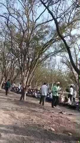 साधू प्रजापति पंडित का पुरवा में गया जगन्नाथ जी विशाल भंडारा चालू है