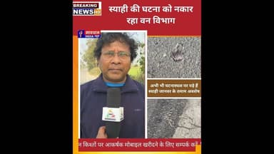 स्याही की घटना को नकार रहा वन विभाग #savdhan_india_news