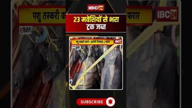 23 मवेशियों से भरा ट्रक जब्त #madhyapradesh #dindori #ytshorts #animals #smuggling #hindinews #short