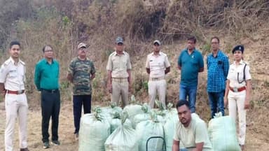 ପାରଳାଖେମୁଣ୍ଡି: ଗଜପତି ଜିଲା ଅଡବା ଥାନା ଅନ୍ତର୍ଗତ ପିଲିପାଯୁ ଗାଁ ନିକଟସ୍ଥ ଜଙ୍ଗଲରେ ୫ କୁଇଣ୍ଟାଲ ଗଞ୍ଜେଇ ଜବତ, ଜଣେ ଗିରଫ ସୂଚନା